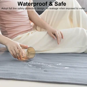 Electric Blanket 220V Thicker Automatic Thermostat Electric Heating Blanket Body Warmer Thermal Mattress for Room Blanket heated 6